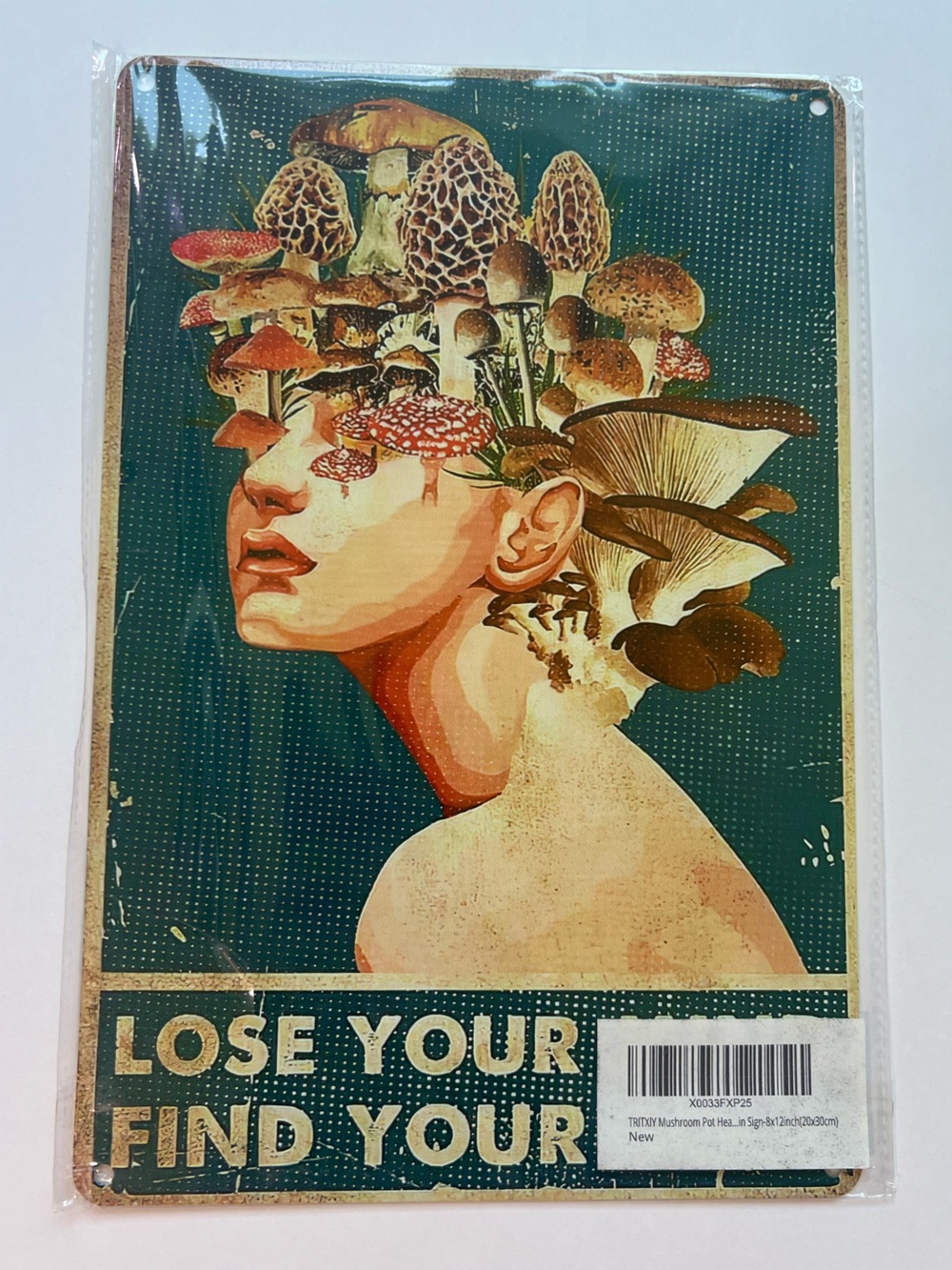 Source Unknown - Teal, Cream, Brown, Red Mushroom Head Art Print tin sign